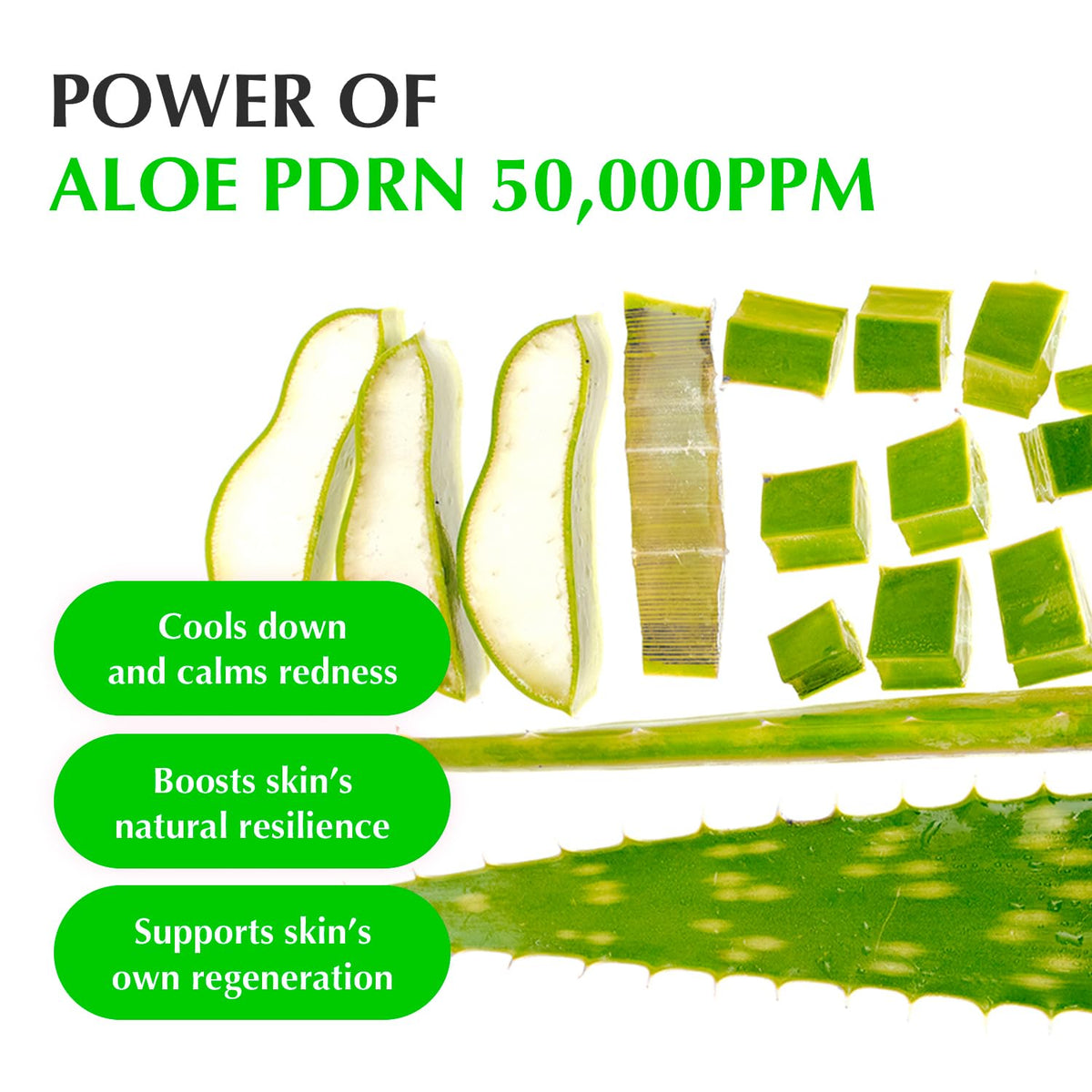 EQQUALBERRY Aloe PDRN Calming Serum